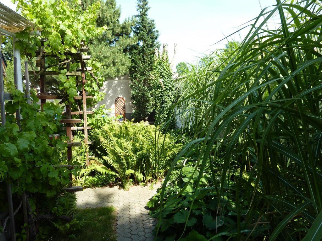 Pension Muench "Am Anger" Neuseusslitz Exterior foto